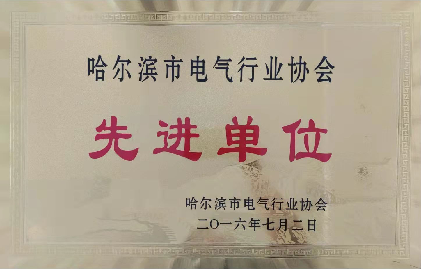 哈爾濱市(shi)電(dian)氣(qi)行業協會《先(xian)進(jin)單(dan)位》