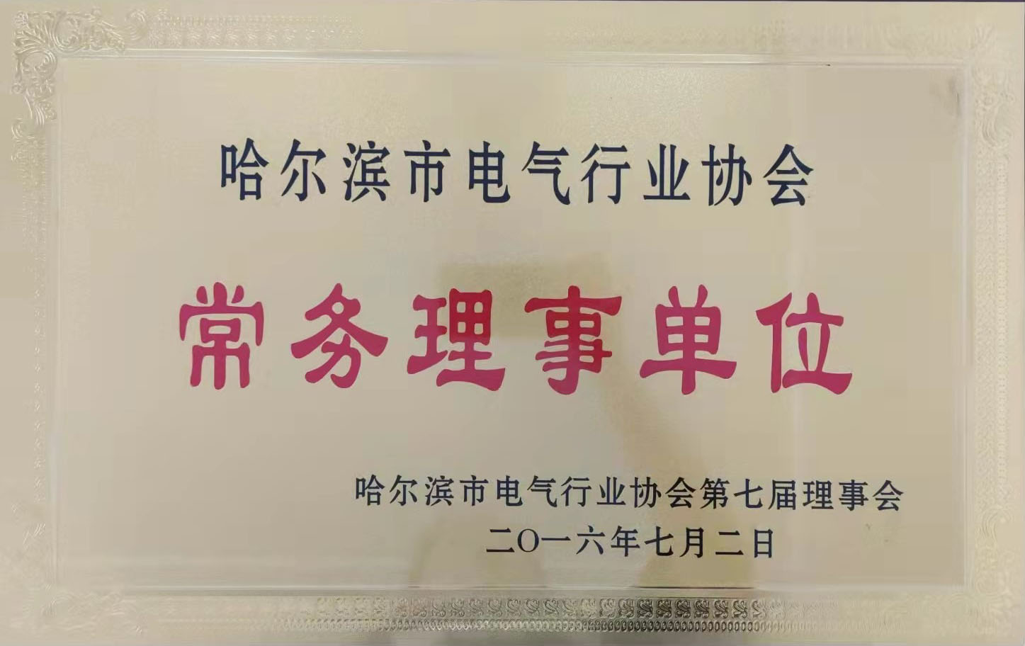 哈爾濱市(shi)電(dian)氣(qi)行業協會《常務(wu)理(li)事單(dan)位》
