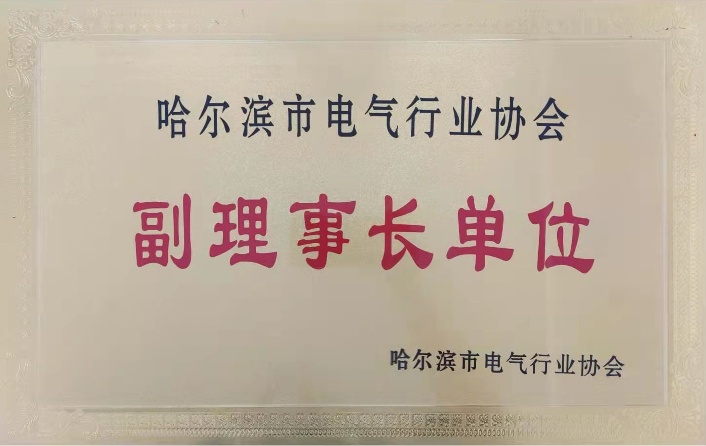 哈爾濱市(shi)電(dian)氣(qi)行業協會《副理(li)事長(zhang)單(dan)位》